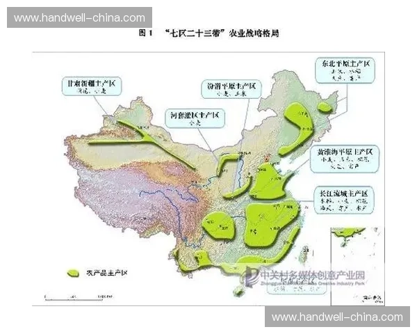 足球联赛与杯赛并行发展模式下的竞争格局与战略分析